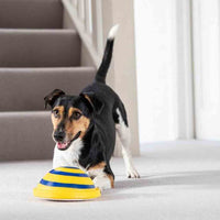 HKM-7313085 Interactive Sounding Disc Toy for Indoor Dogs - Safe, Soft, and Engaging Play Solution