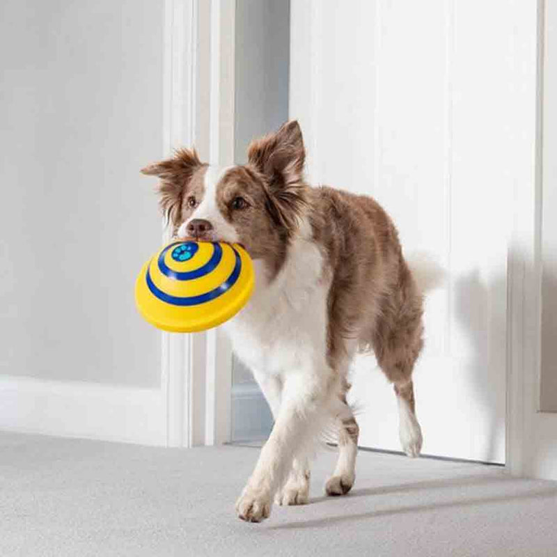HKM-7313085 Interactive Sounding Disc Toy for Indoor Dogs - Safe, Soft, and Engaging Play Solution