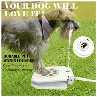 HKM-7314109 Automatic Pet Water Dispenser with Stainless Steel Design for Easy Outdoor Use