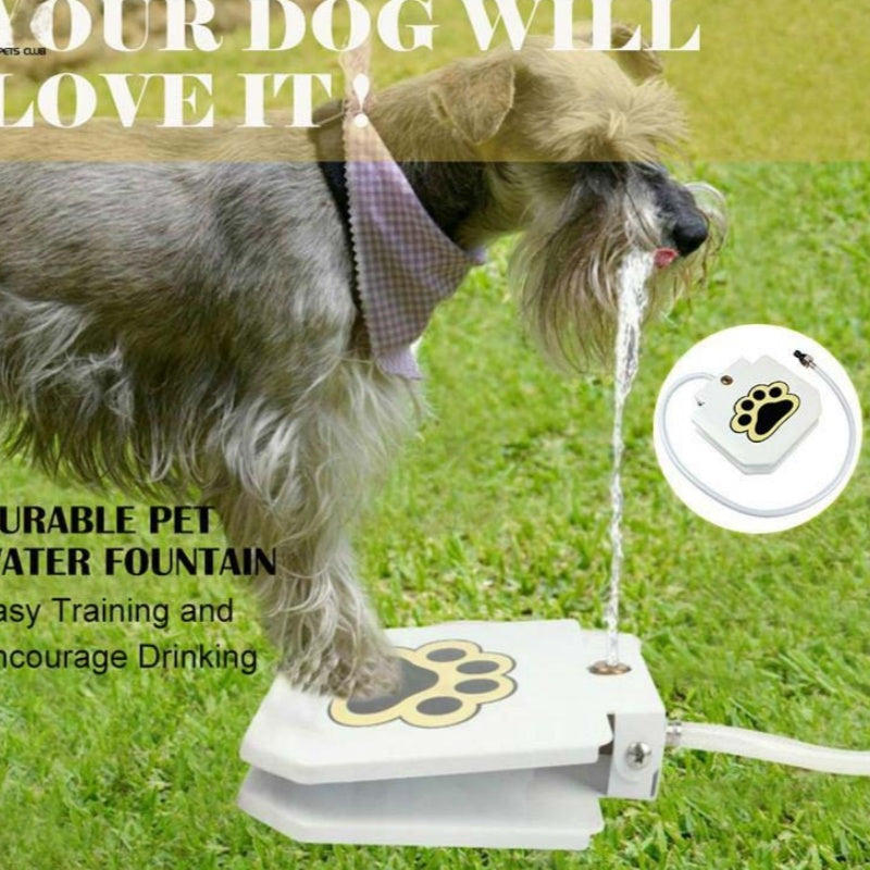 HKM-7314109 Automatic Pet Water Dispenser with Stainless Steel Design for Easy Outdoor Use
