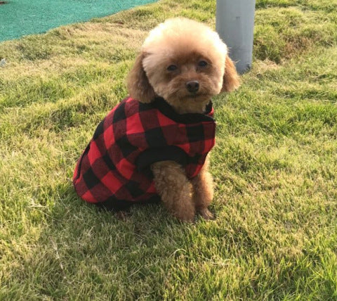 HKM-7316413 Hooded Polyester Dog Vest for Small to Large Breeds, Adjustable Fit with Size Options