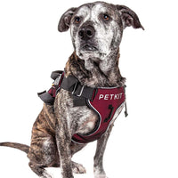 HKM-7317309 Durable Nylon Pet Vest Chest Strap with Adjustable Sizes for Dogs and Cats