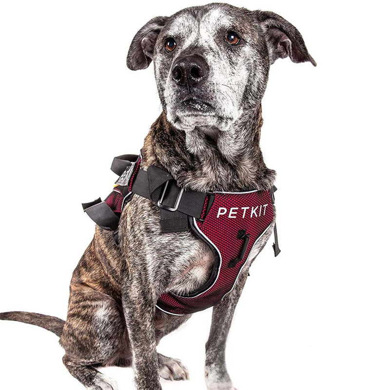 HKM-7317309 Durable Nylon Pet Vest Chest Strap with Adjustable Sizes for Dogs and Cats