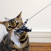 HKM-7318845 Cat Toy with Bird Feather Wand and Black Stick for Interactive Play