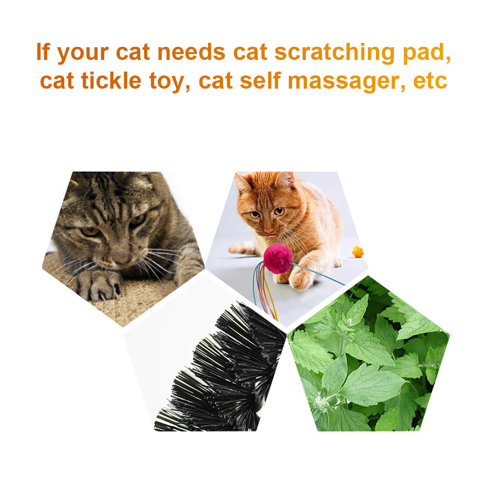 HKM-7319613 Arch Type Cat Rubbing Device with Massage Brush and Scratching Pad