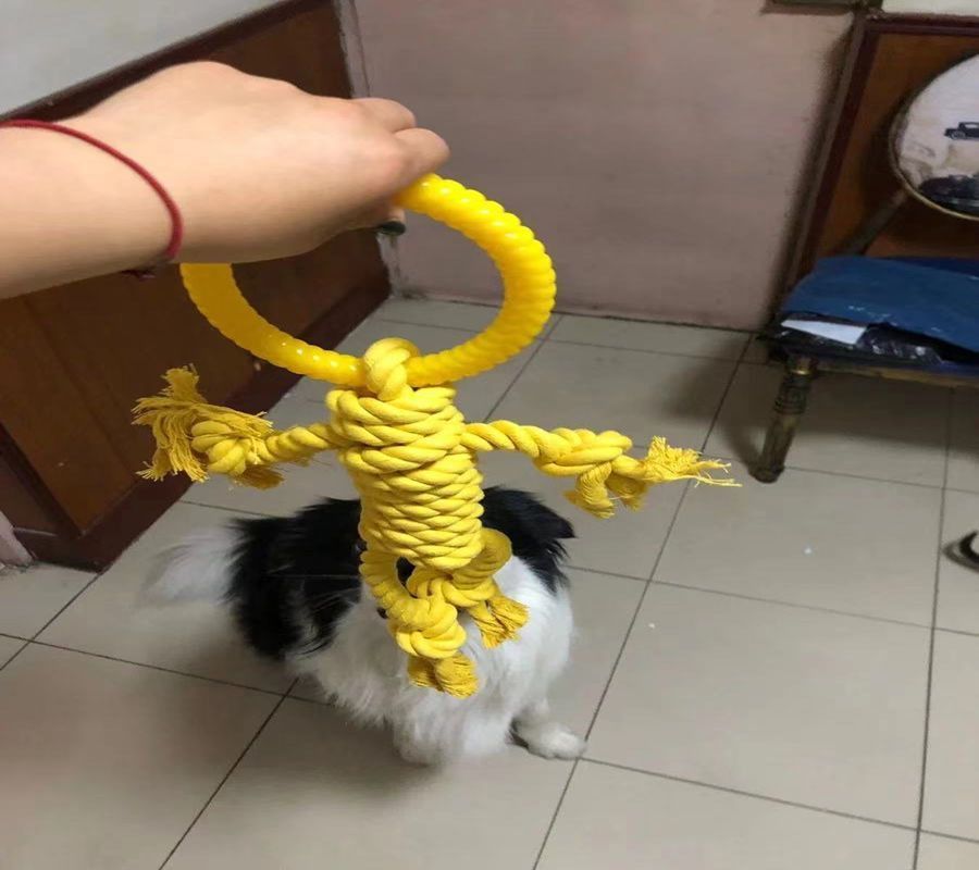 HKM-7322429 Durable Cotton Rope Dog Chew Toy for Molar Health - 14CM Ring Diameter, 50CM Length
