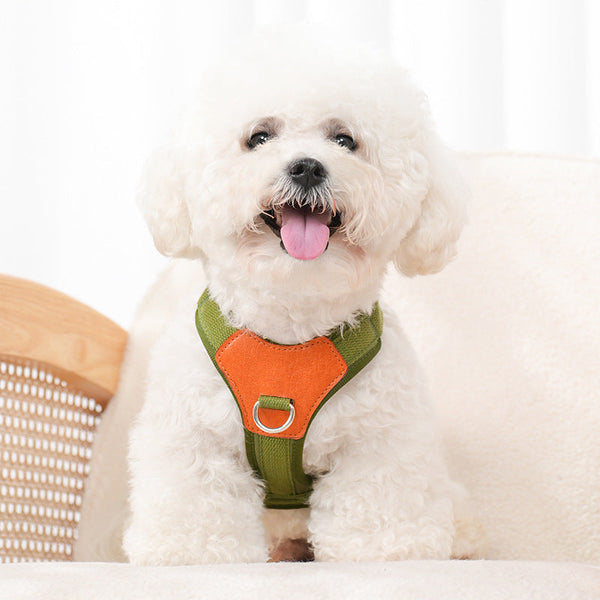 HKM-7323069 Retro Style Rope Harness for Dogs - Brown, Green, Blue Options in Durable Polyester