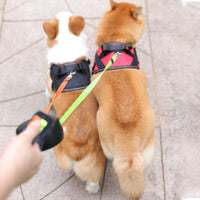 HKM-7323581 Automatic Telescopic Dog Leash - 3M/5M, Durable Nylon Rope with Chrome-Plated Metal Fasteners, Supports Up to 17Kg
