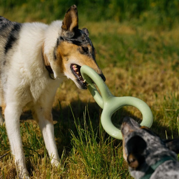 HKM-732499 Durable Rubber Pet Bite Pull Toy - Light Green, 8.9 & 11 Inches Options