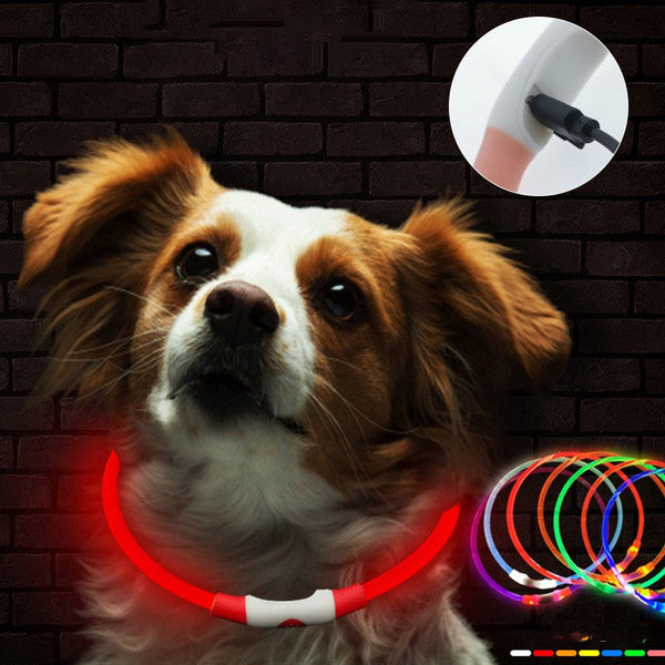 HKM-7325757 Luminous USB Rechargeable Dog Collar ¨C Bright & Durable for All Seasons