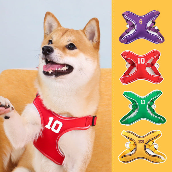 HKM-7328829 Chest Strap Vest for Small and Medium-sized Dogs - Adjustable Polyester Harness with 150cm Leash