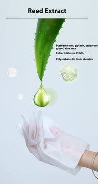 HKM-7329213 Pet Disposable Cleaning Gloves – 10 Pack for Cat Care and Hygiene