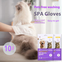 HKM-7329213 Pet Disposable Cleaning Gloves – 10 Pack for Cat Care and Hygiene