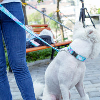 HKM-7329341 Durable Polyester Dog Collar with Traction Belt - Multiple Sizes Available
