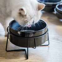 HKM-7329725 Cervical Spine Support Ceramic Pet Bowl with Double Design for Cats and Small Dogs