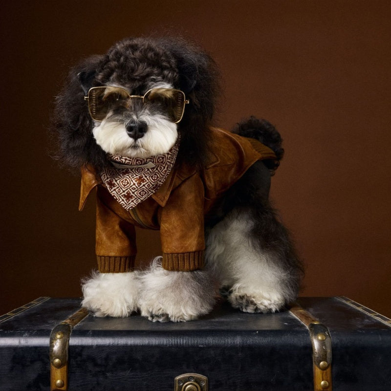 HKM-733843 Retro Style Long Sleeve Leather Coat for Schnauzer and Bichon - Brown, Multiple Sizes Available