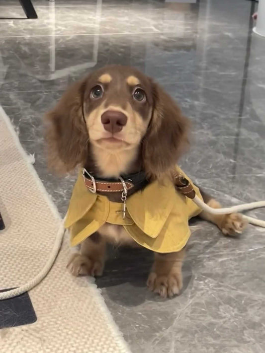 HKM-7340861 British Style Windbreaker Shawl for Small Dogs in Cheese Yellow - Casual Fit, Various Sizes Available