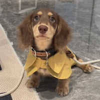 HKM-7340861 British Style Windbreaker Shawl for Small Dogs in Cheese Yellow - Casual Fit, Various Sizes Available