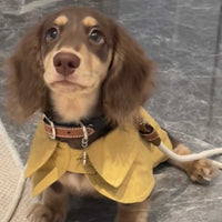 HKM-7340861 British Style Windbreaker Shawl for Small Dogs in Cheese Yellow - Casual Fit, Various Sizes Available