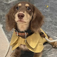 HKM-7340861 British Style Windbreaker Shawl for Small Dogs in Cheese Yellow - Casual Fit, Various Sizes Available