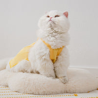 HKM-7342653 Sunflower Print Two-Foot Dog Dress in Yellow and Beige, Casual Style Pet Skirt