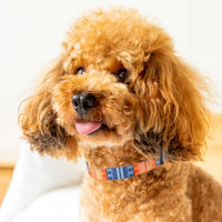HKM-7343037 Adjustable Nylon Pet Collar with Digital Printing Design