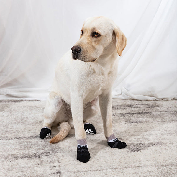 HKM-7347645 Halloween Pet Socks Dog Foot Covers - Various Colors and Sizes Available