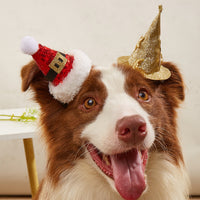 HKM-7349181 Halloween and Christmas Pet Hairpin Hats - Witch Hat and Santa Style Accessories