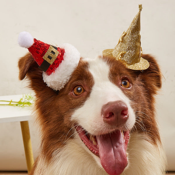 HKM-7349181 Halloween and Christmas Pet Hairpin Hats - Witch Hat and Santa Style Accessories