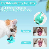 HKM-7365565 Interactive Catnip Windmill Toy with LED Light and Suction Cup for Indoor Cats