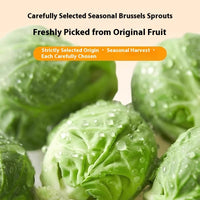 HKM-7368125 Freeze-Dried Brussels Sprouts Dog Snacks – Healthy Pet Treats, 20g