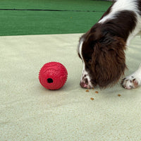 HKM-737107 Red Feet Pet Leaking Toy