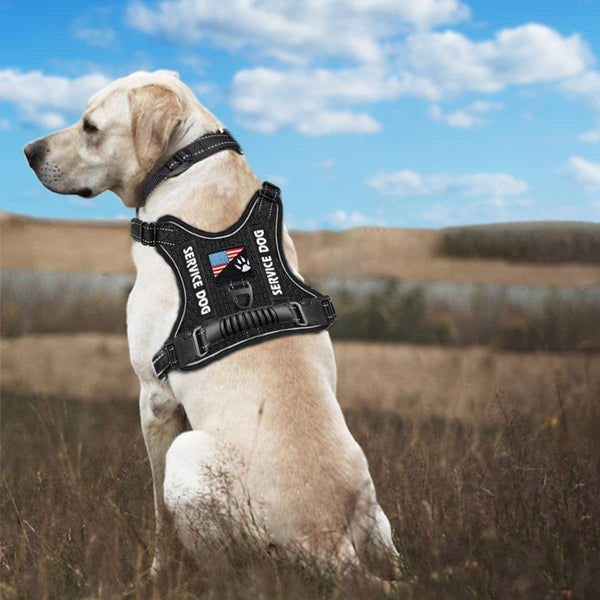 HKM-7382845 Reflective Night Vision Pet Harness with Shock Absorption and Traction Chest Strap