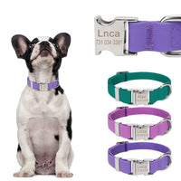 HKM-7385405 Adjustable Waterproof Silicone Pet Traction Rope with Zinc Alloy D Buckle - Multiple Sizes in Purple, Green, Pink