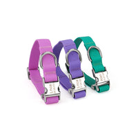 HKM-7385405 Adjustable Waterproof Silicone Pet Traction Rope with Zinc Alloy D Buckle - Multiple Sizes in Purple, Green, Pink
