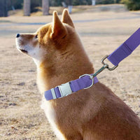 HKM-7385405 Adjustable Waterproof Silicone Pet Traction Rope with Zinc Alloy D Buckle - Multiple Sizes in Purple, Green, Pink