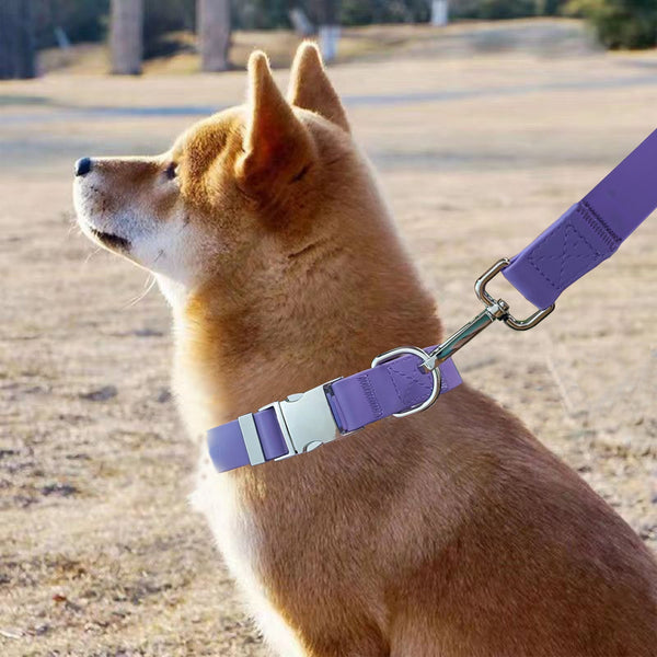 HKM-7385405 Adjustable Waterproof Silicone Pet Traction Rope with Zinc Alloy D Buckle - Multiple Sizes in Purple, Green, Pink