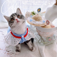 HKM-7389885 Blue Mesh Tutu Skirt with Pink or Blue Straw Hat for Small Dogs and Cats