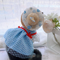 HKM-7389885 Blue Mesh Tutu Skirt with Pink or Blue Straw Hat for Small Dogs and Cats