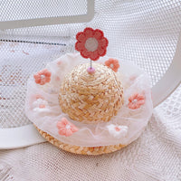 HKM-7389885 Blue Mesh Tutu Skirt with Pink or Blue Straw Hat for Small Dogs and Cats
