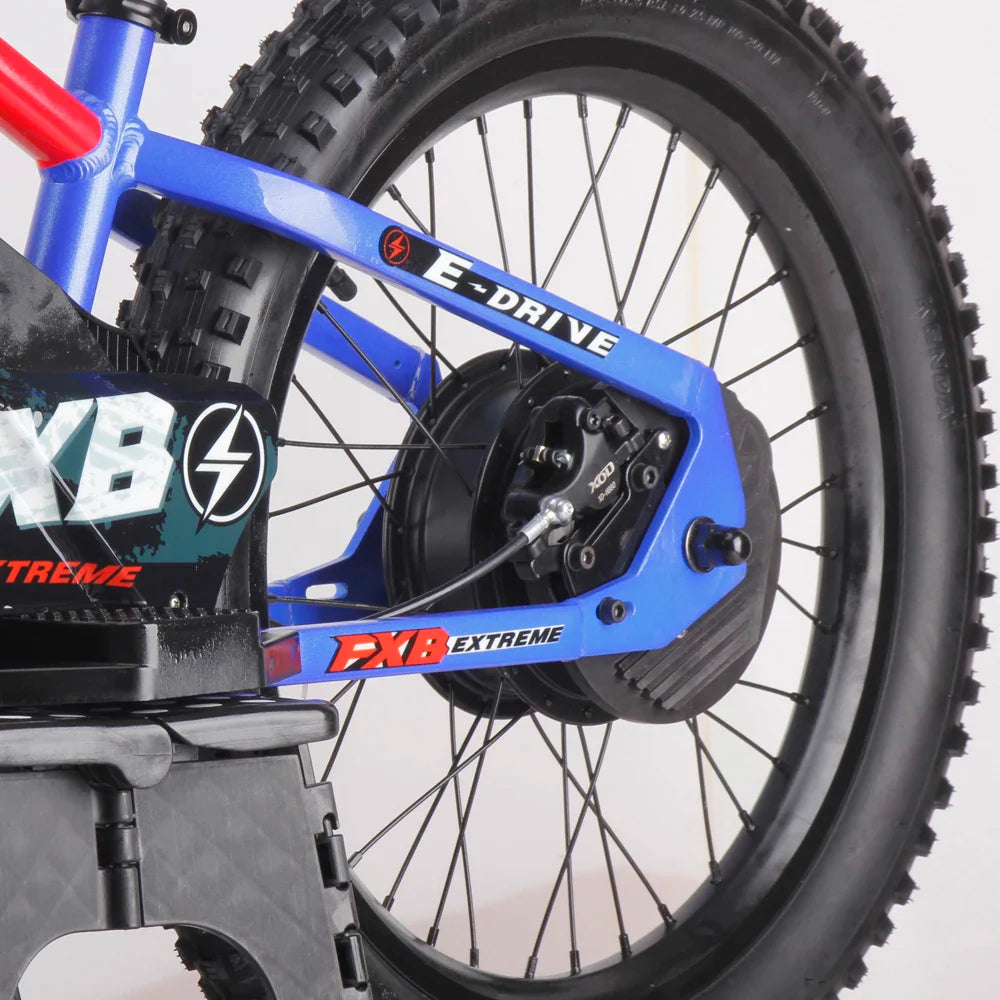 HKM-739219 20-Inch Electric Balance Bike with 800W Motor, 10.0AH Battery, 3 Speed Modes, and Hydraulic Disc Brakes