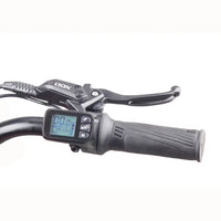 HKM-739219 20-Inch Electric Balance Bike with 800W Motor, 10.0AH Battery, 3 Speed Modes, and Hydraulic Disc Brakes