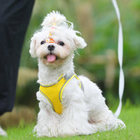 HKM-7394877 Adjustable Breathable Mesh Cat Traction Harness with Chest Strap in Multiple Colors