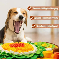 HKM-7396925 Flower-Shaped Olfactory Training Pad for Pets - 60x60CM Polar Fleece Material
