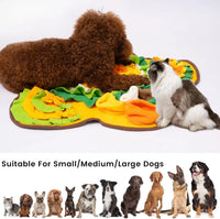 HKM-7396925 Flower-Shaped Olfactory Training Pad for Pets - 60x60CM Polar Fleece Material