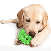 HKM-7398333 Durable Cactus Chew Toy for Medium to Large Dogs - Dental Care & Cleaning with Food-Grade Rubber