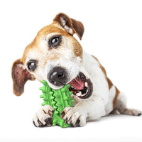 HKM-7398333 Durable Cactus Chew Toy for Medium to Large Dogs - Dental Care & Cleaning with Food-Grade Rubber