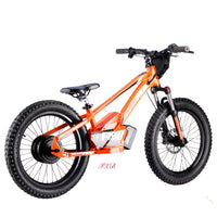 HKM-740371 20-Inch Folding Electric Bike with 800W Rear Hub Motor and 36V 10AH Lithium Battery