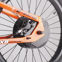 HKM-740371 20-Inch Folding Electric Bike with 800W Rear Hub Motor and 36V 10AH Lithium Battery
