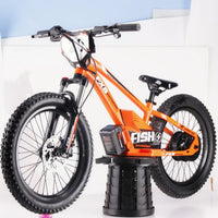 HKM-740371 20-Inch Folding Electric Bike with 800W Rear Hub Motor and 36V 10AH Lithium Battery